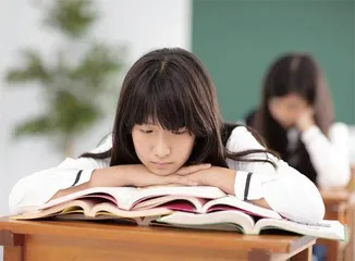 “新手村”里的新适应