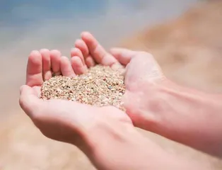 沙游世界中追求完美的心理教师1