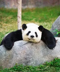 睡眠和精神障碍有怎样的关系？1