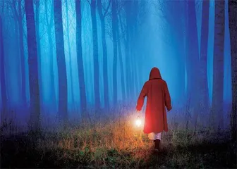 恐怖片 何以令人上瘾？