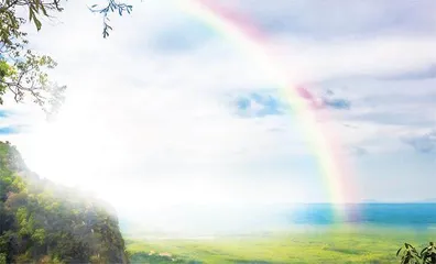 阳光总在风雨后