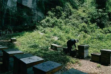 湘湖鉴湖白马湖，应接不暇7