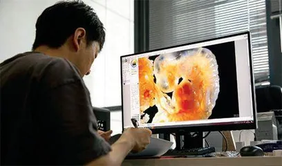 不做医生,他靠画画融资千万2