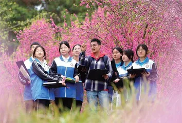 幸福双流，可触可感1