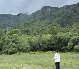 十年“数”树，1426亿棵1