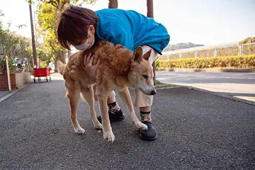 养老院新模式：人与宠物共度晚年7