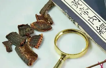 蛇,让人爱恨交织2