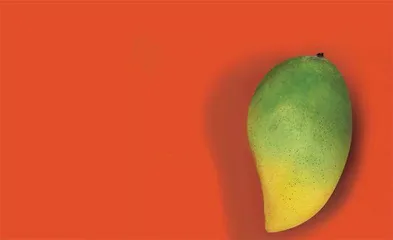 印度： 一个国家，两个世界