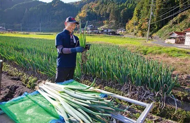 车轮上的杂货店:日本乡村老人的生命线1