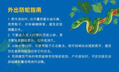 城市里,蛇出没?2