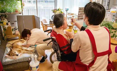 养老院新模式：人与宠物共度晚年