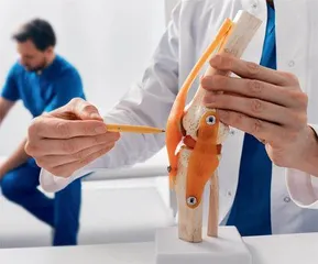 膝伤的“防”与“养”1