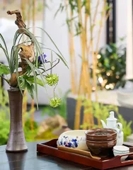 夏季养生 「茶」 导航 5