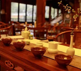 夏季养生 「茶」 导航 10