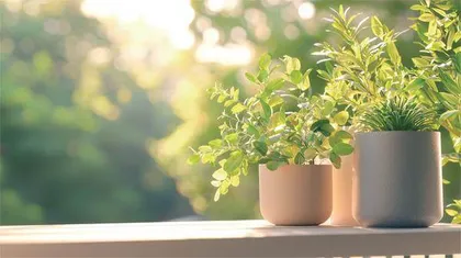别让焦虑“越界”