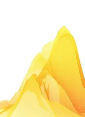 背影