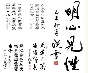 晓雪  张毅