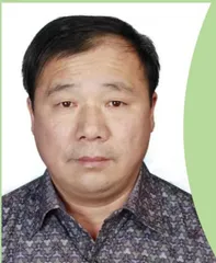 一棵老树