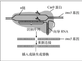 基于三位一体评价模式命制高中生物学试题