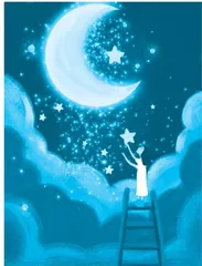 满天星 玫瑰花