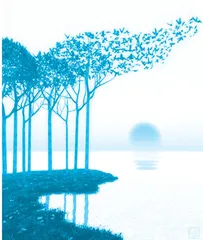 森林之声