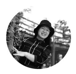 双线并行 摇曳多姿