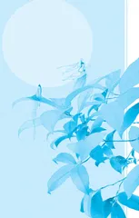 又见桂花落秋思 