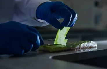 红紫纷纷尽斗妍,游蜂舞蝶亦翩翩1