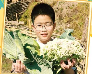 绵绵有力，温暖向阳