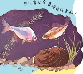别笑,这是肃的动物科普课2
