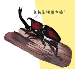 别笑,这是肃的动物科普课3