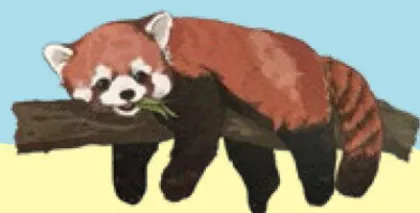 别笑,这是肃的动物科普课7
