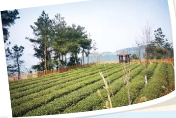 宁静的乡村