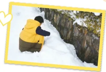 寻雪记1
