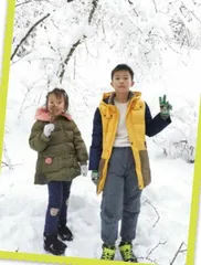 寻雪记2