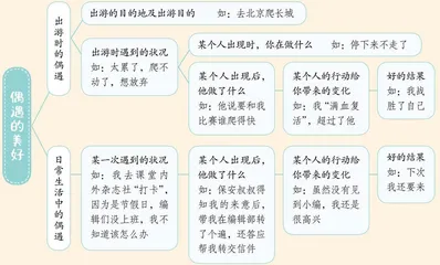 实践知真谛 