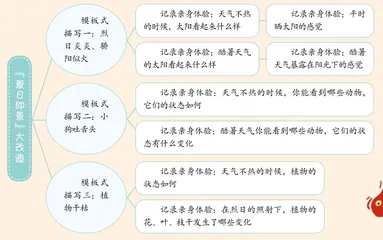 要真的，不要假的