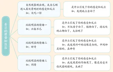 要真的,不要假的2