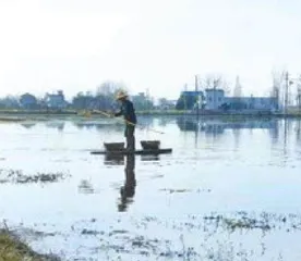 蟹田环游记
