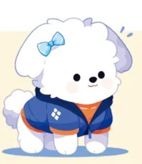 和狗撞衫