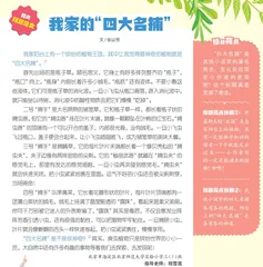 我家的“四大名捕”