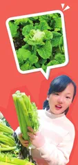 别开生面的识菜