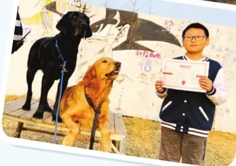 无言的小英雄——搜救犬