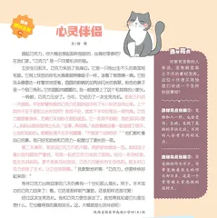 心灵伴侣