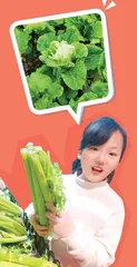 别开生面的识菜
