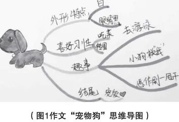 图像辅助，整合思维