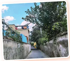美,悄然绽放1