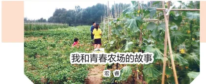 讲故事,不只是讲故事2