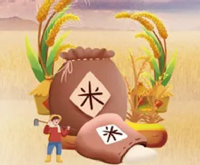 青春逐风之旅的多面审视1