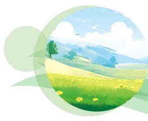 湿地遐想